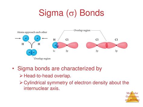 sigma opposite